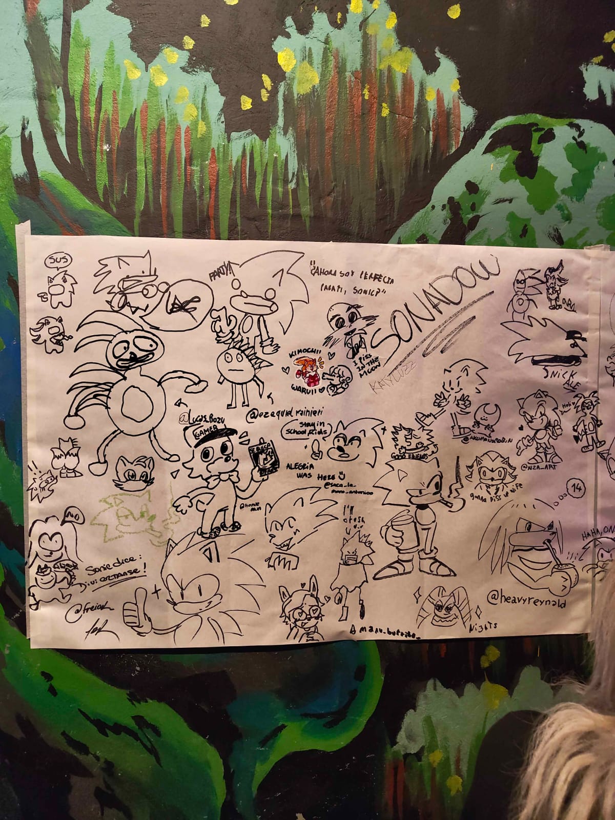 Comunidad de Sonic Argentina presente en Sonic Fest