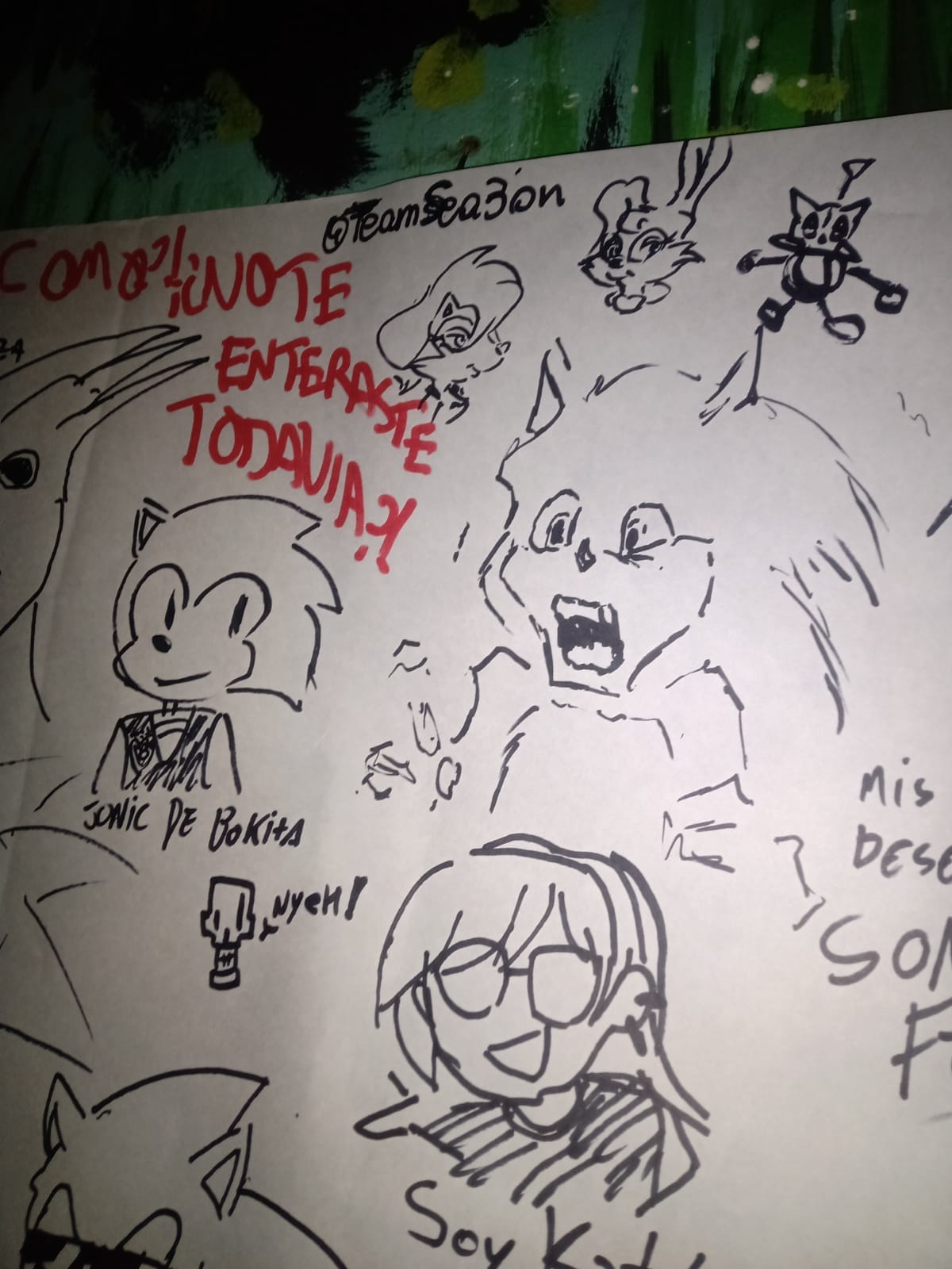 Representación del Sonic Argentino en Sonic Fest