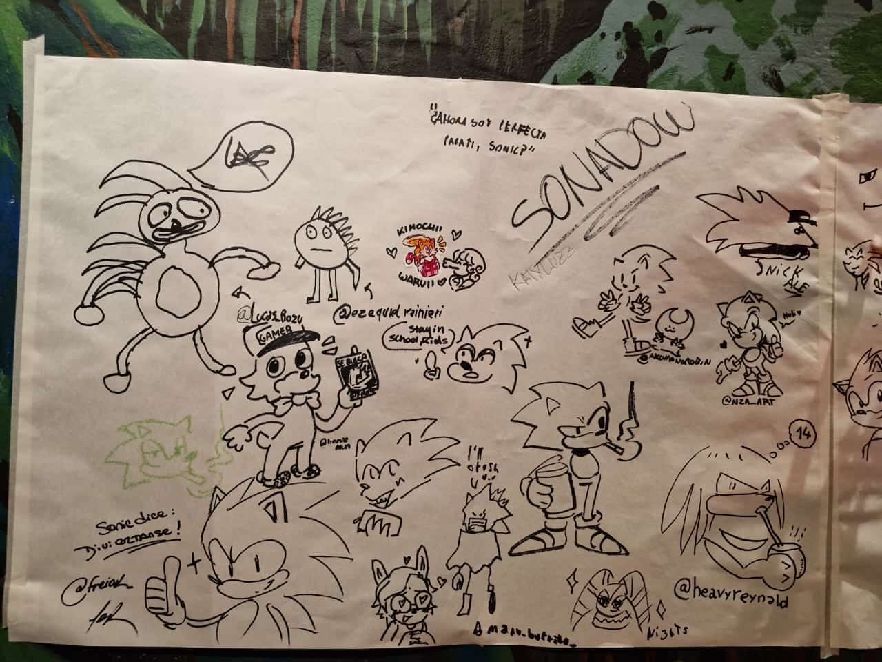 DNI temático entregado en la Sonic Fest