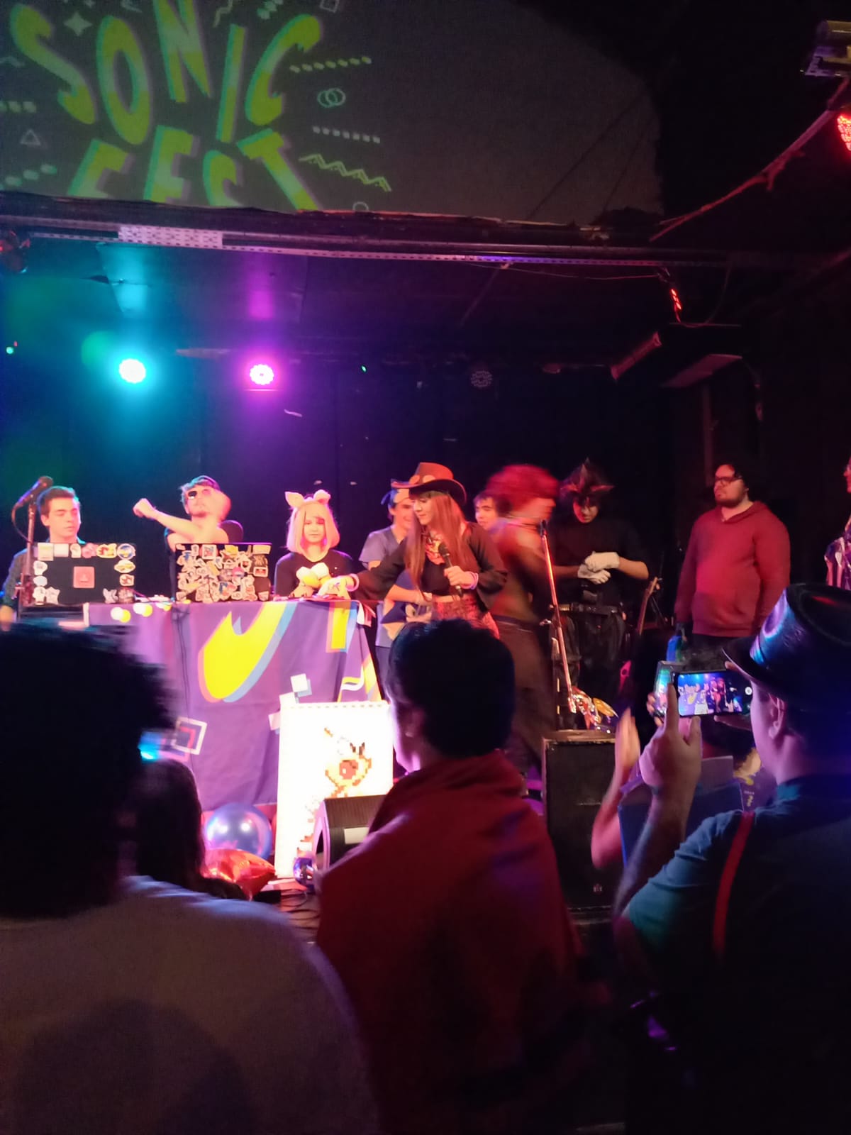 Meme y cultura del Sonic Argentino en Sonic Fest