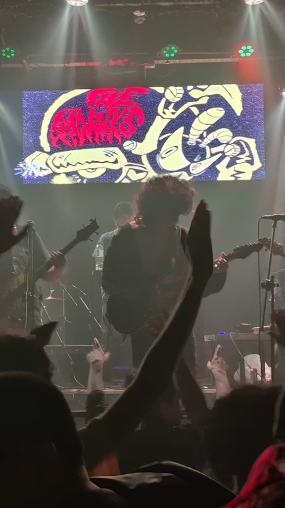 Insanik Ferchu guitarrista The Badniks en vivo