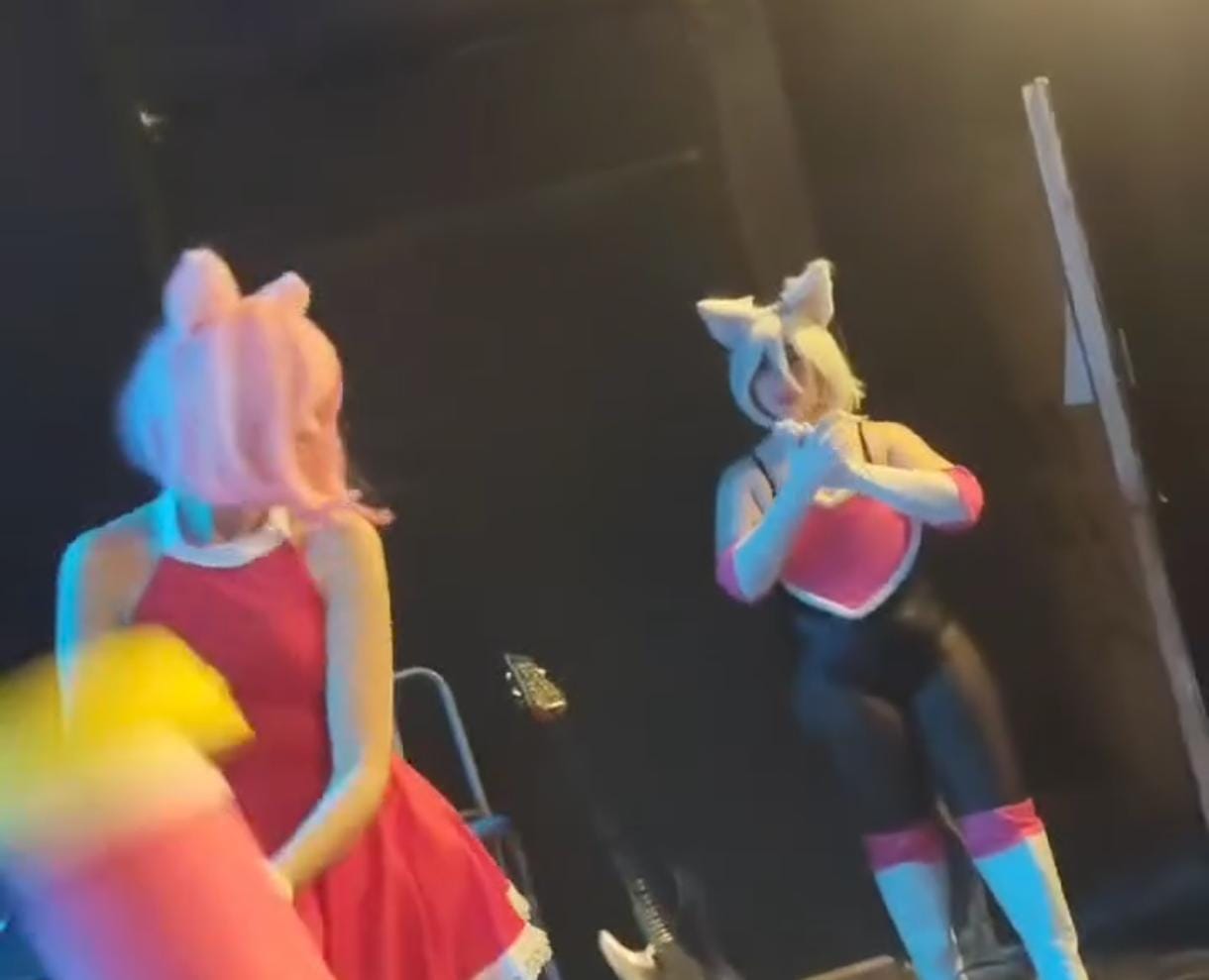 SONIC EXPO FEST ZONA GAMER