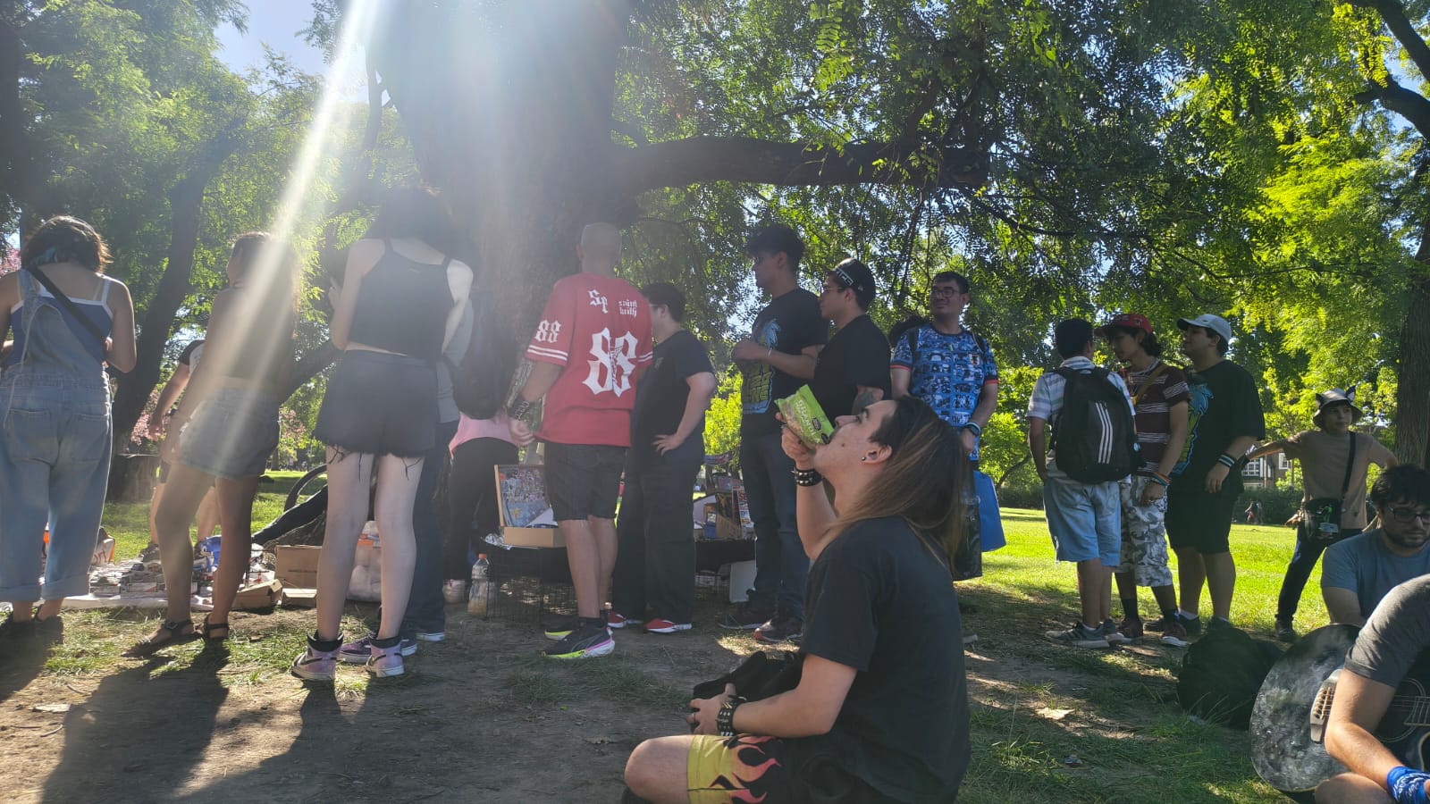 Sonic Fest: La mejor experiencia para fans en Argentina