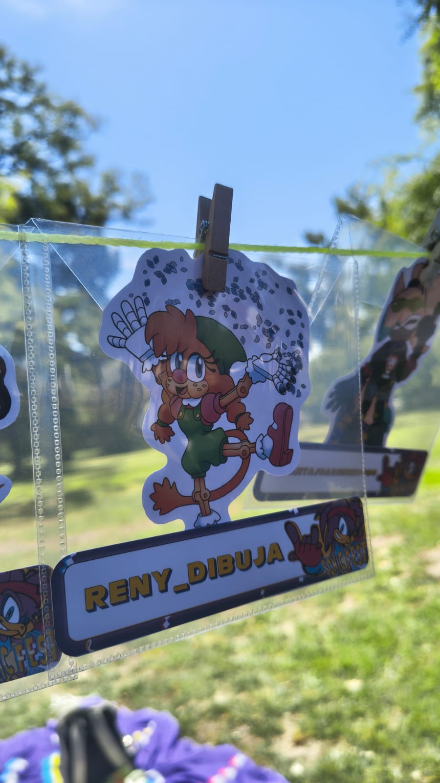 Registro visual de la pasión por Sonic el Erizo