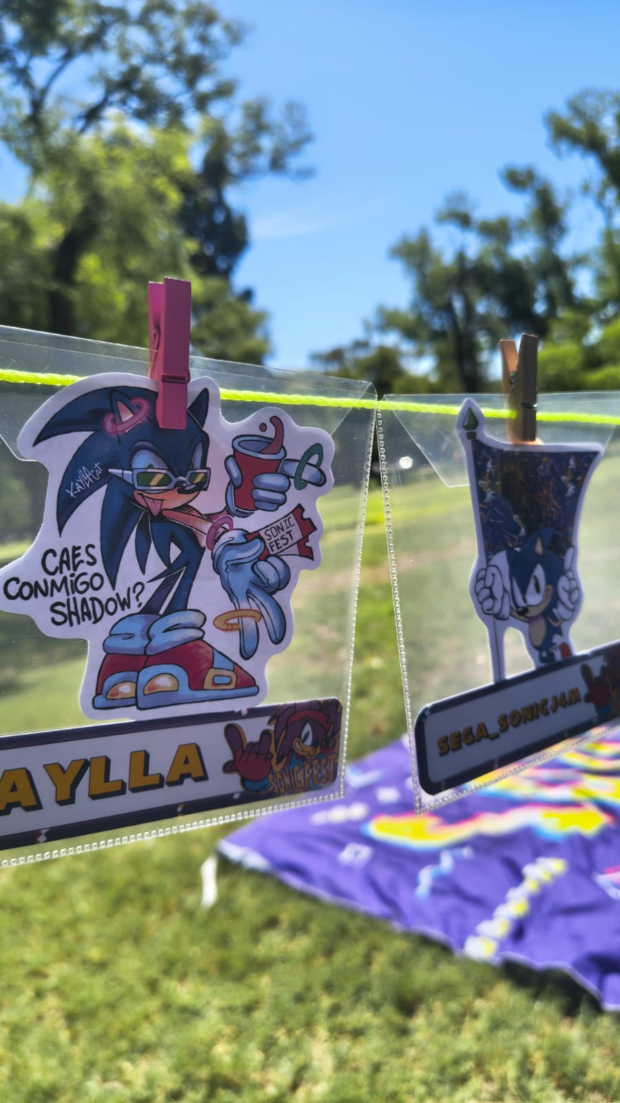 Fans de Sonic Argentina disfrutando un día inolvidable